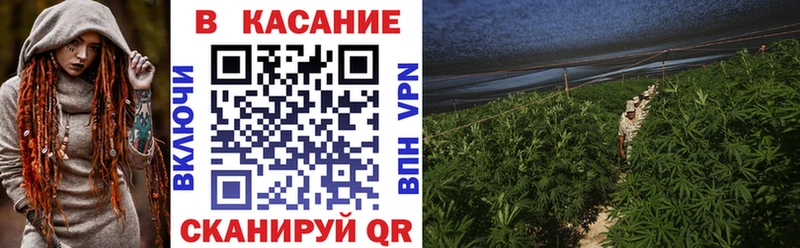 Где найти наркотики Вязники СК Меф мяу мяу Кокаин ГАШИШ МАРИХУАНА