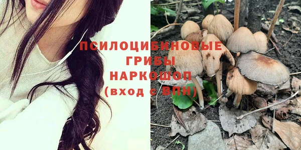 гидропоника Богданович