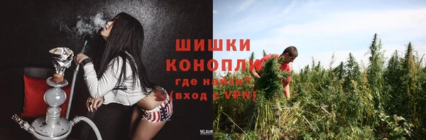 бутират Белокуриха