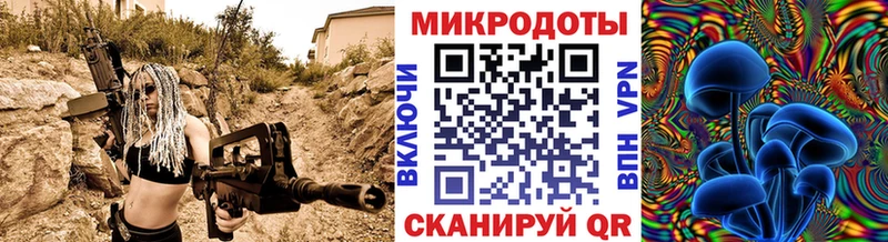 Галлюциногенные грибы Psilocybine cubensis  Вязники 