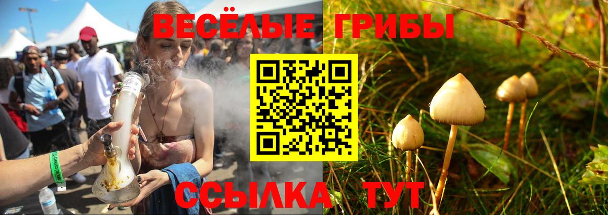 Псилоцибиновые грибы Psilocybine cubensis  Галлюциногенные грибы Cubensis  Вязники  Вход с VPN 